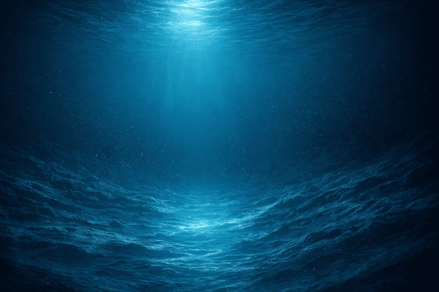 OpenSeaPiranha AI consulting and venture capital platform Istanbul